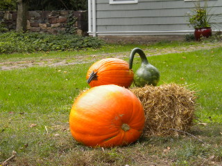 pumpkins0